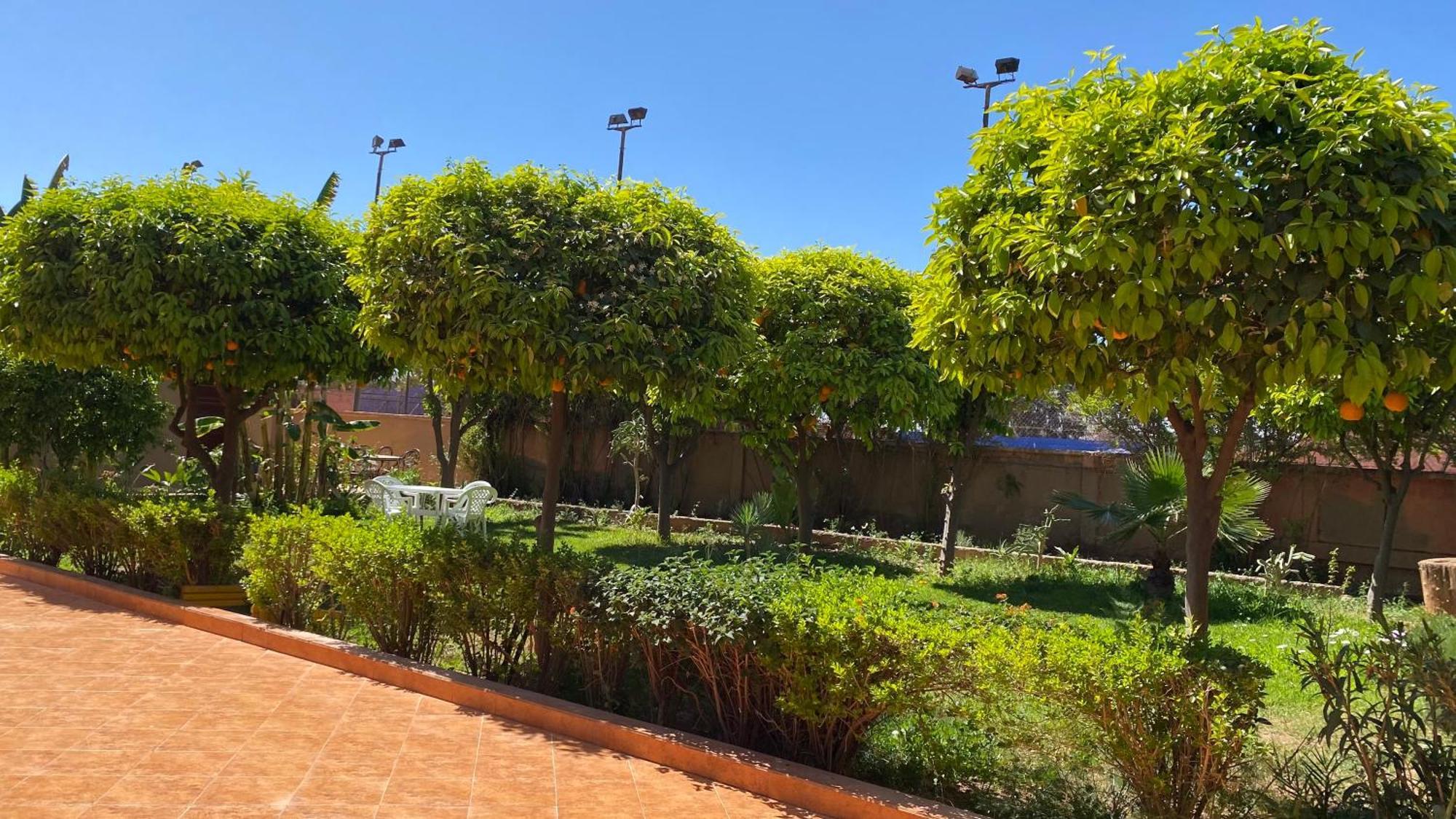 Auberge De Jeunesse Marrakech-Asni Marrakesh Eksteriør billede